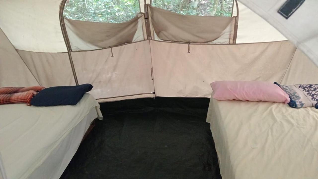 Campamento Yaax Che En Calakmul Conhuas Zimmer foto