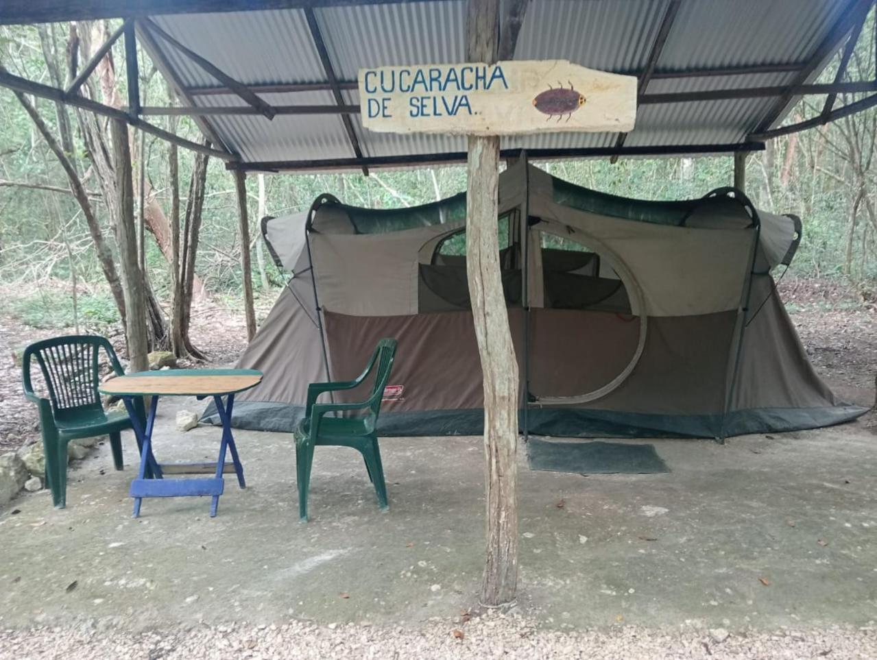 Campamento Yaax Che En Calakmul Conhuas Zimmer foto