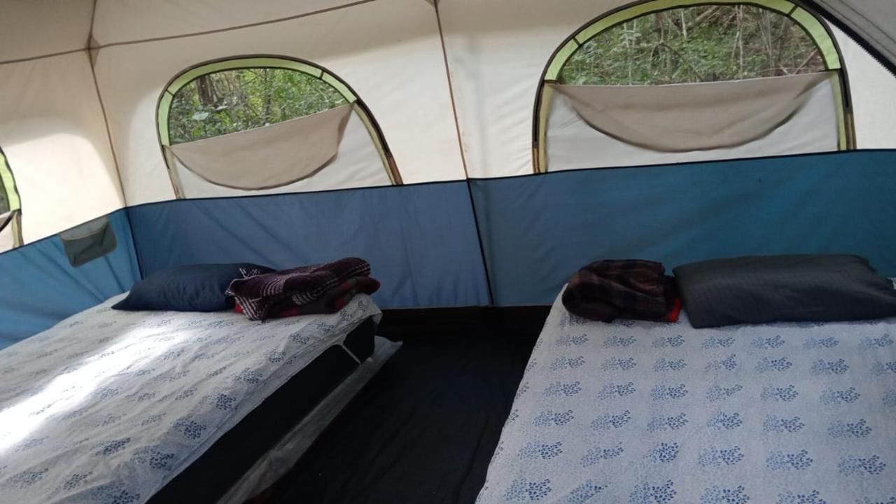 Campamento Yaax Che En Calakmul Conhuas Zimmer foto