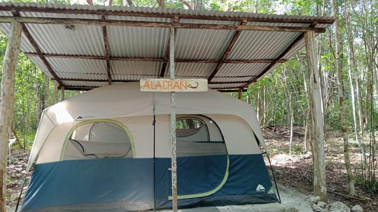 Campamento Yaax Che En Calakmul Conhuas Zimmer foto
