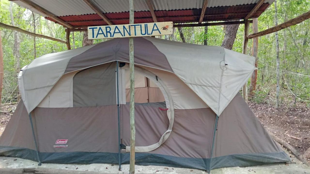 Campamento Yaax Che En Calakmul Conhuas Exterior foto