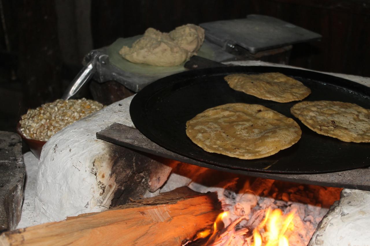Campamento Yaax Che En Calakmul Conhuas Exterior foto
